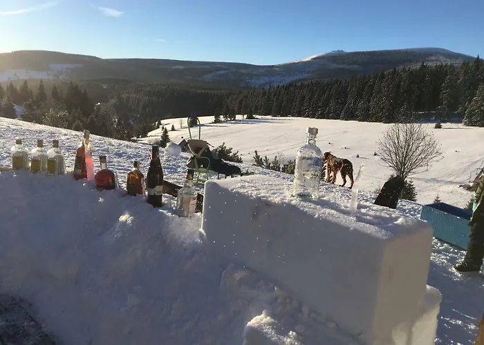 Maison d'hôtes Horsky Cernava 3*